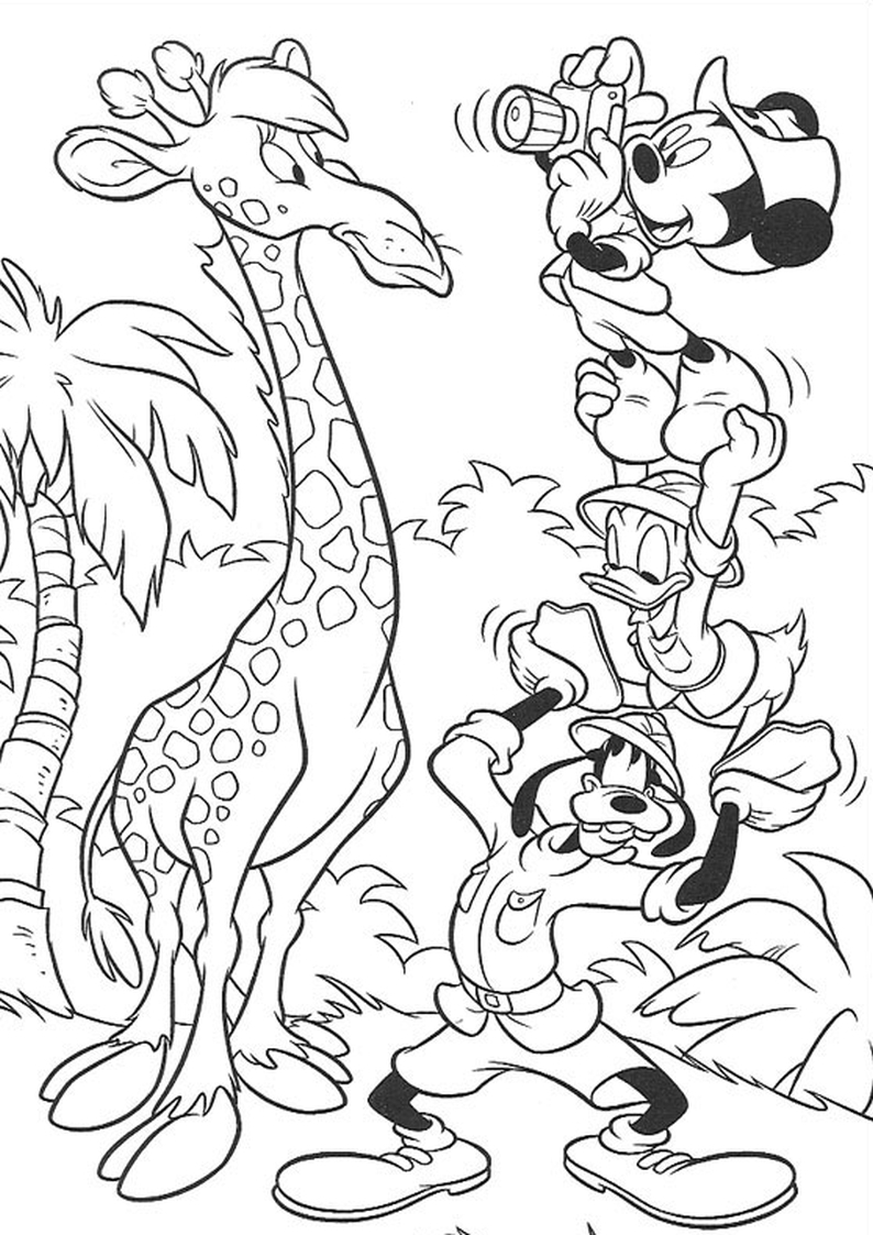 kolorowanka Myszka Miki, Kaczor Donald i Goofy na safari pstykają fotkę żyrafie, malowanka do wydruku dla dzieci nr 51